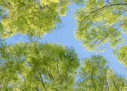 哈兰德单杆最高分定格1细节曝光(哈兰德巅峰最牛的一阵) 哈兰德单杆最高分定格1细节曝光(哈兰德巅峰最牛的一阵)