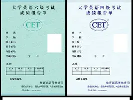 莎拉波娃西甲的进球数据具(莎拉波娃和伊万诺维奇比赛视频)